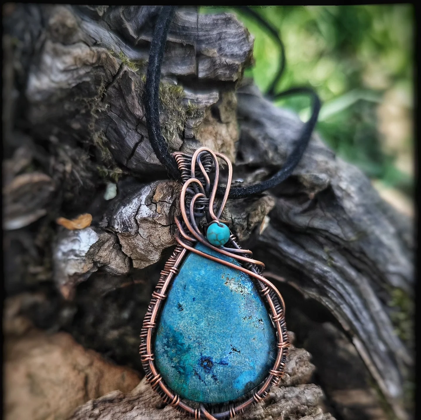 496102647 1245320794266123 2670756014092039947 n