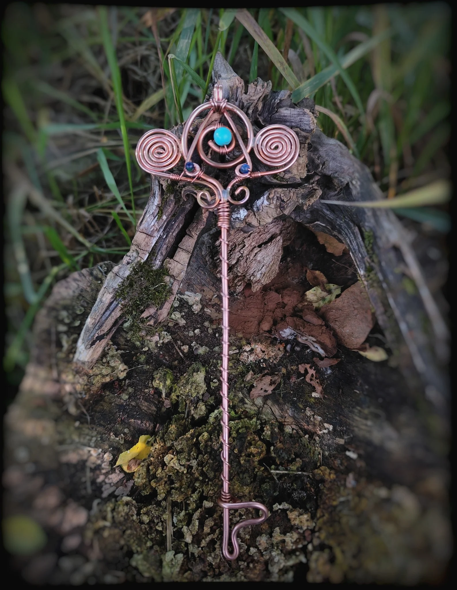 497914115 1252477423550460 6033842039541815079 n